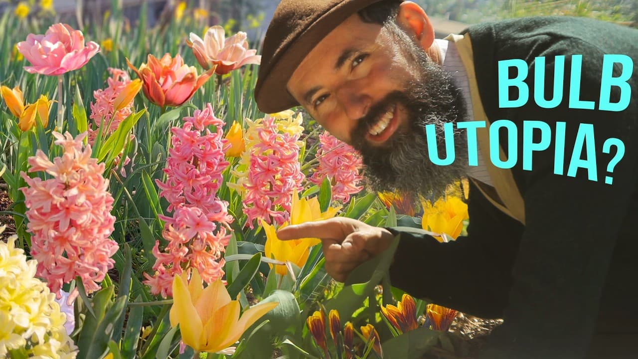 I buried a bunch of FALL BULBS together and this happened...