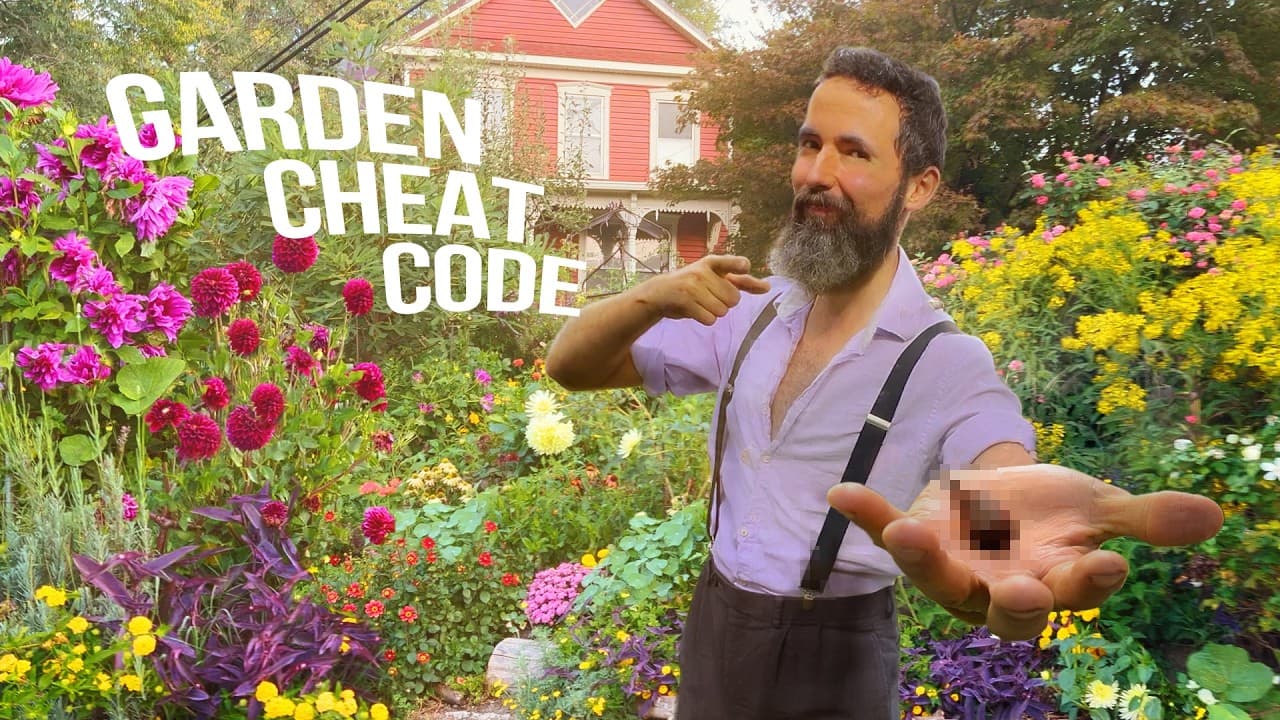 My biggest secret for an EASY BEAUTIFUL garden